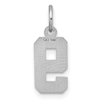 14kw Small Brushed Diamond-cut Number 9 Charm-WSN09