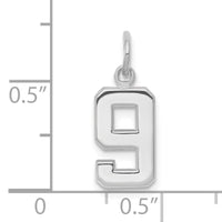 14kw Small Polished Number 9 Charm-WSP09