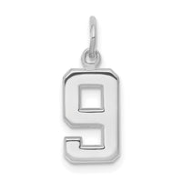 14kw Small Polished Number 9 Charm-WSP09