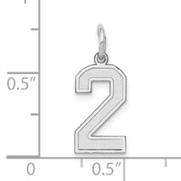 14kw Small Satin Number 2 Charm-WSS02