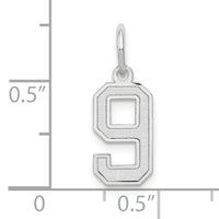 14kw Small Satin Number 9 Charm-WSS09