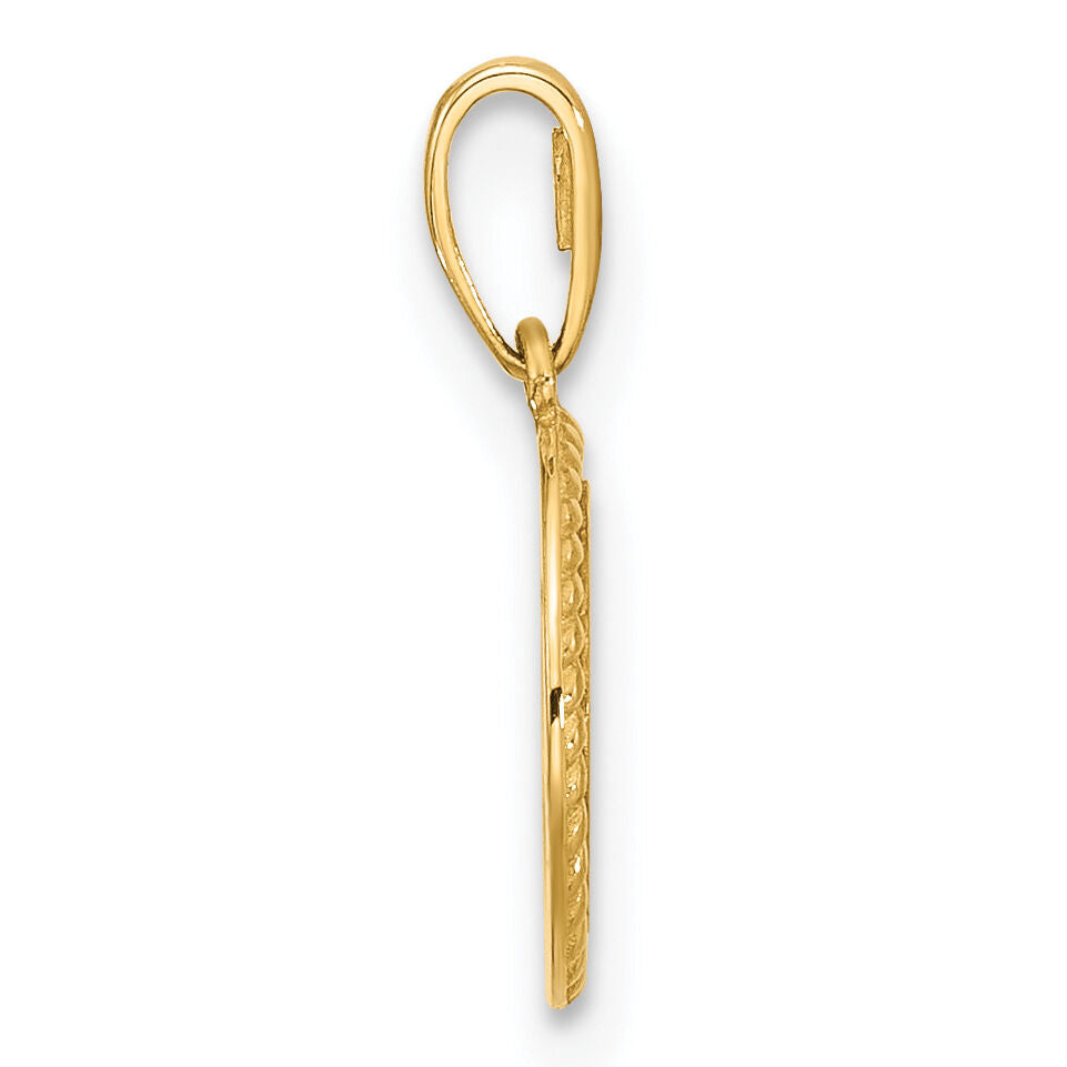 14K Polished Round with Rope Border Charm-XAC1011