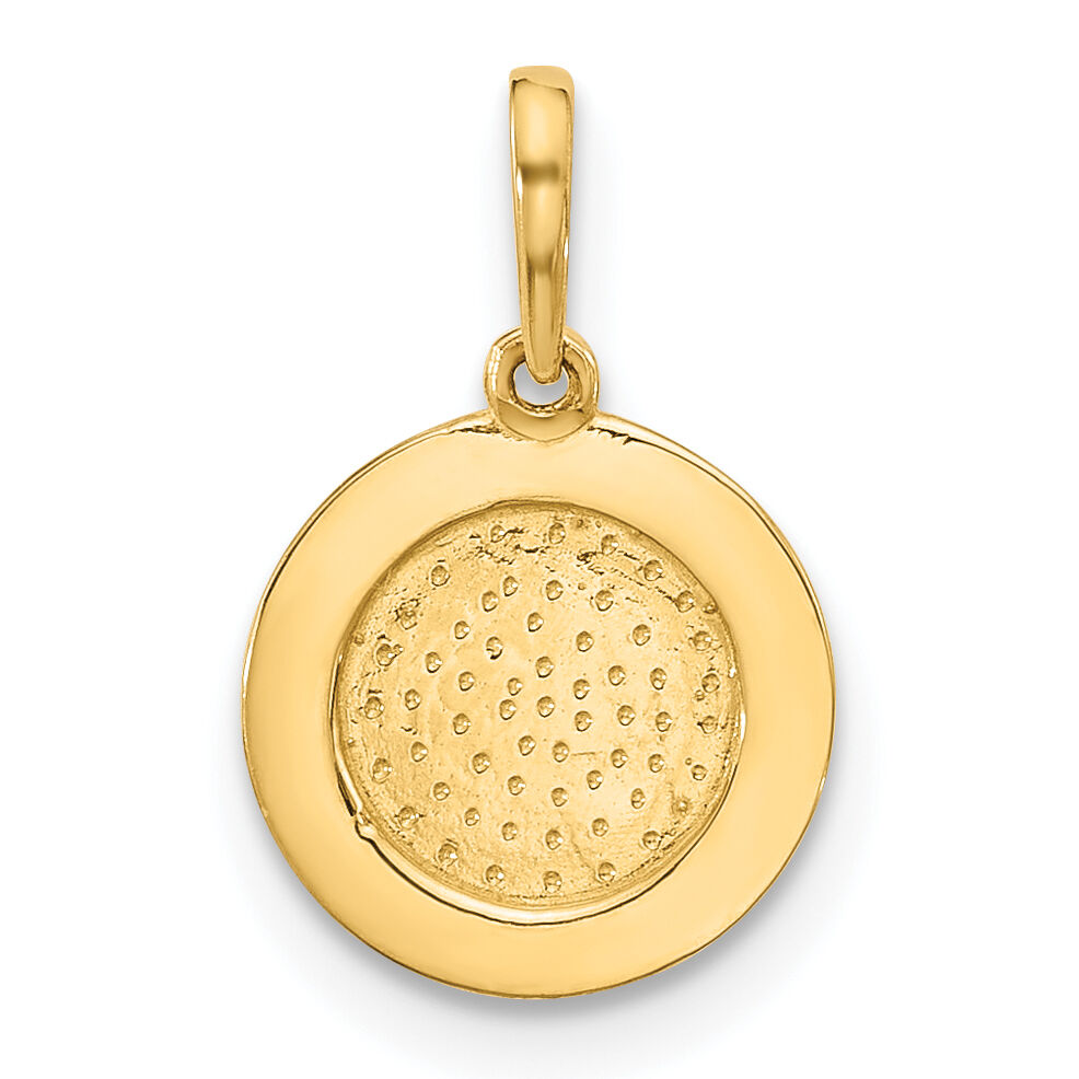 14K Polished Round with Rope Border Charm-XAC1011