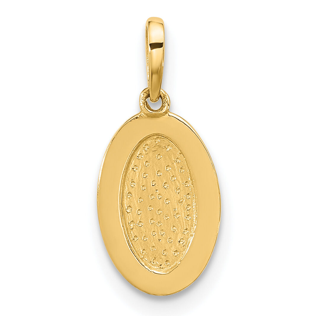 14K Polished Oval with Rope Border Charm-XAC1012