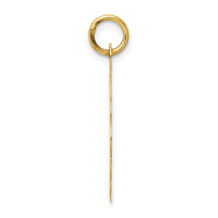 14k 25th ANNIVERSARY Disc Charm-XAC13