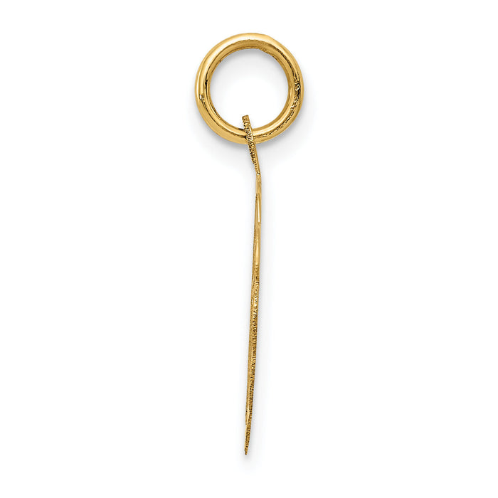 14K A DATE TO REMEMBER Disc Charm-XAC16