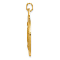 14k Miraculous Medal Pendant-XAC209