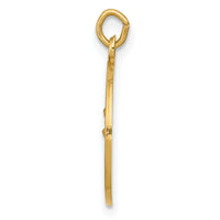 14k Our Lady of Perpetual Help Medal Charm-XAC210