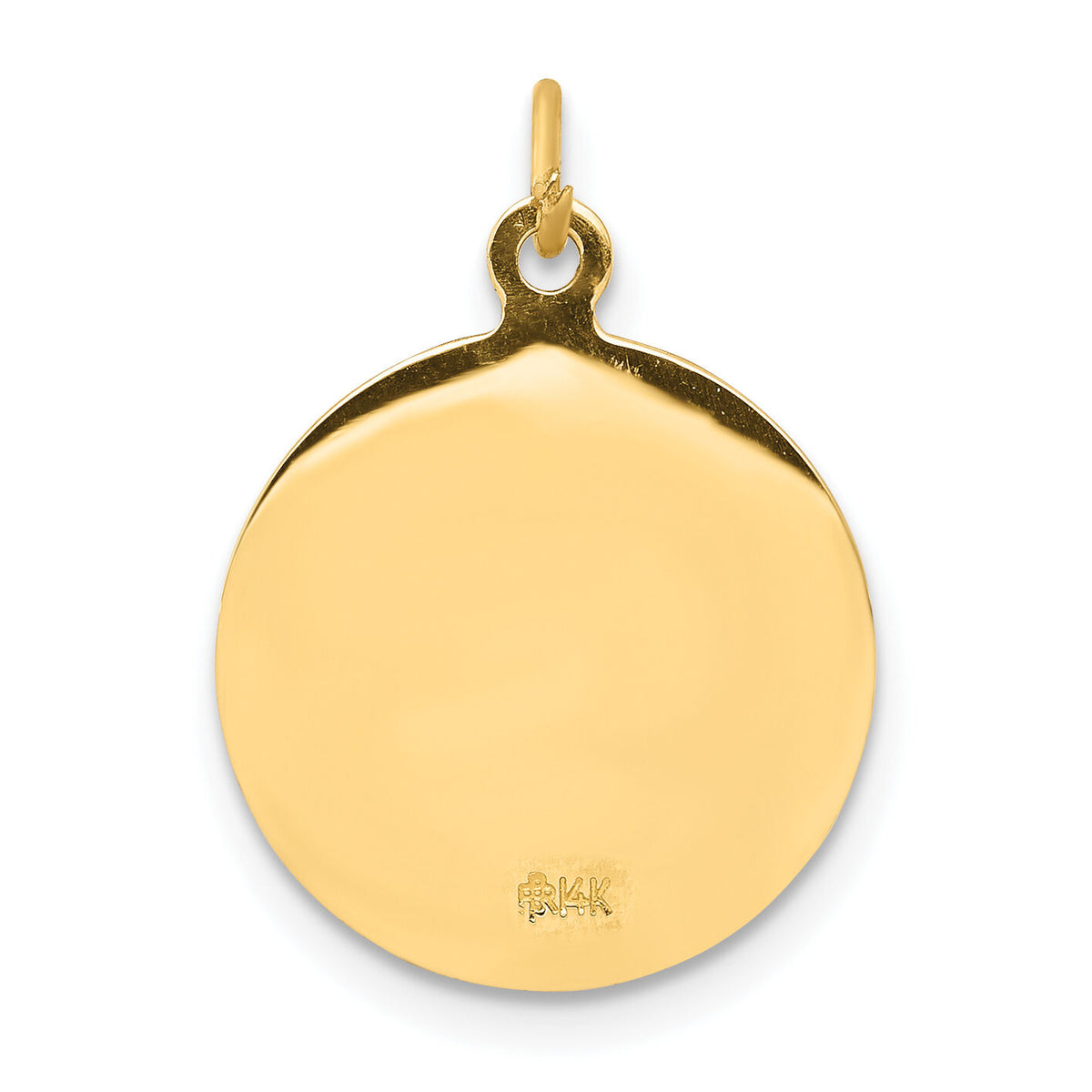 14k Sacred Heart of Jesus Medal Charm-XAC220
