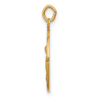 14k Saint Anne Medal Charm-XAC228