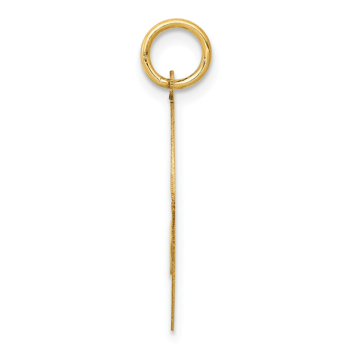 14k Yorkshire Terrier Disc Charm-XAC383