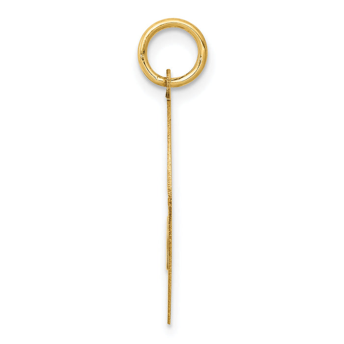 14k Yorkshire Terrier Disc Charm-XAC383
