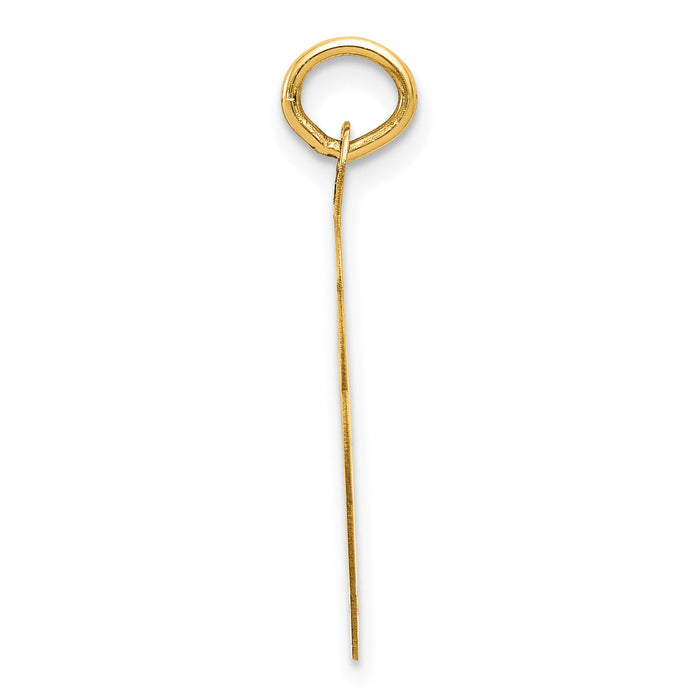 14k Swimming Disc Charm-XAC393
