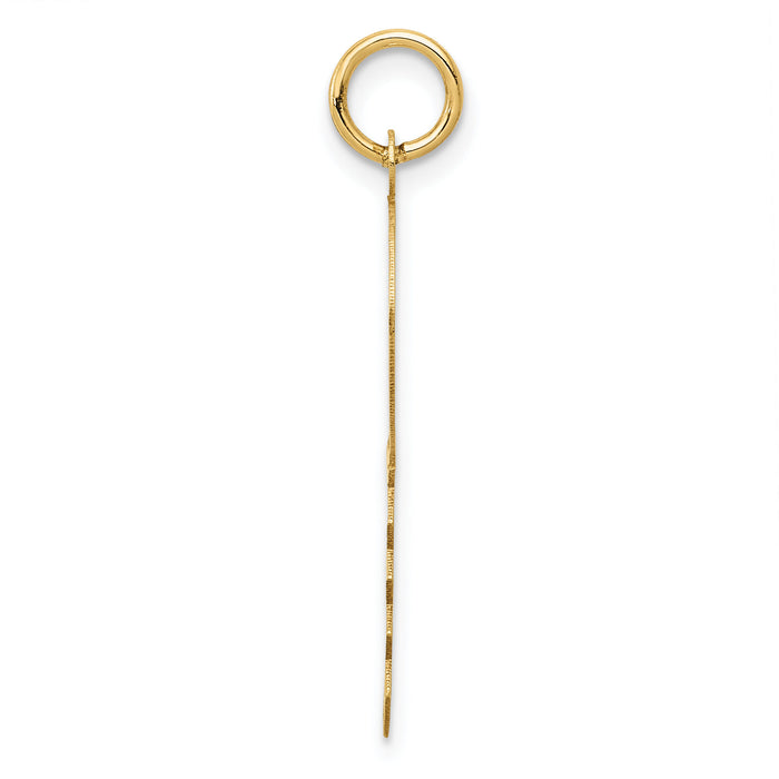 14K Polished and Satin Hearts Flat Key Charm-XAC525
