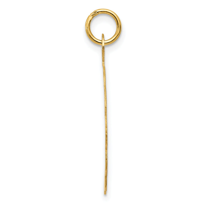 14K A DATE TO REMEMBER Disc Charm-XAC553