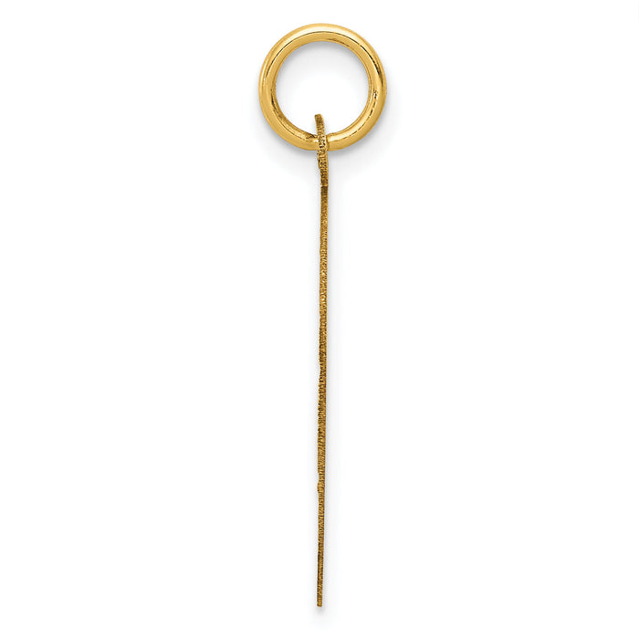 14K A DATE TO REMEMBER Disc Charm-XAC557