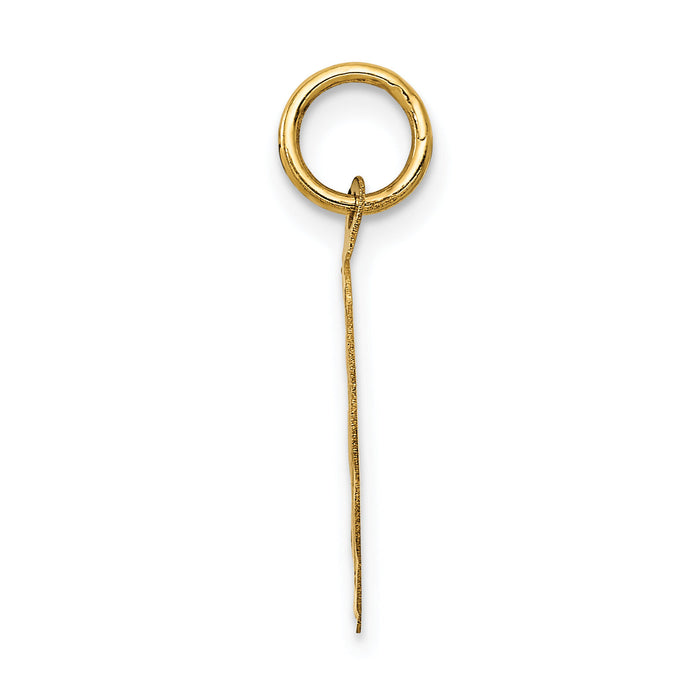 14k Polished ITâ€™S A BOY Scalloped Disc Charm-XAC6