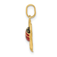 14k Enameled Ladybug in Heart Charm-XAC852