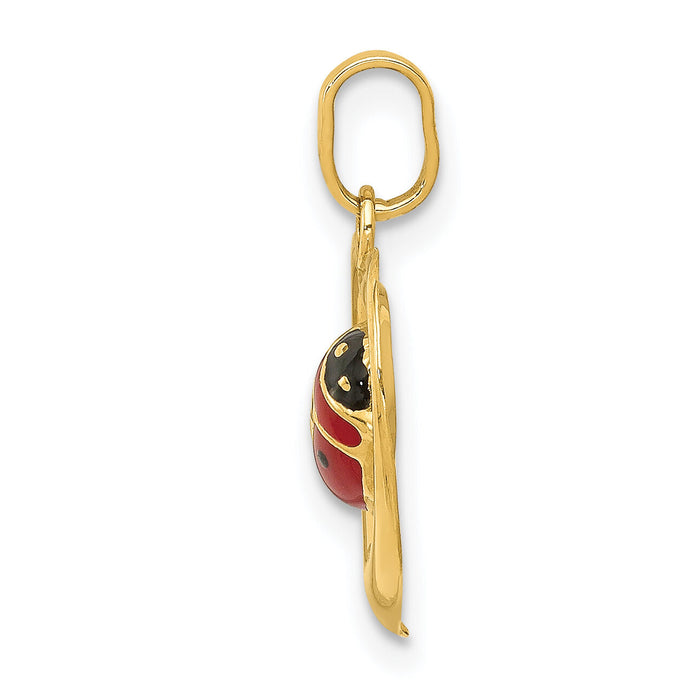 14k Enameled Ladybug in Heart Charm-XAC852