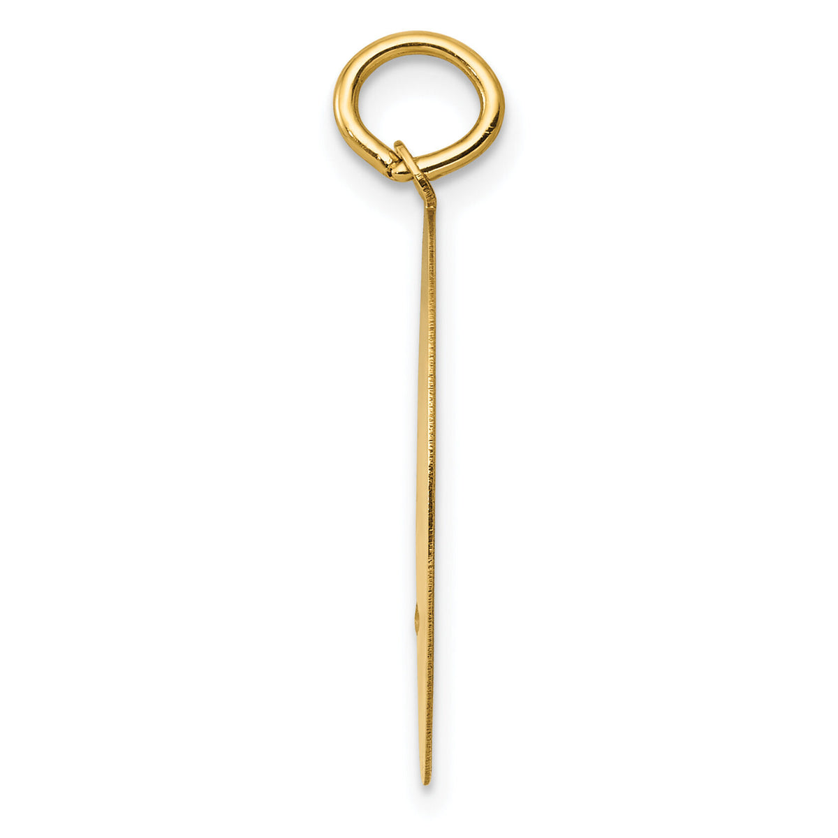 14k Golden Retriever Disc Charm-XAC869
