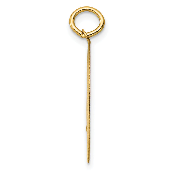 14k Golden Retriever Disc Charm-XAC869