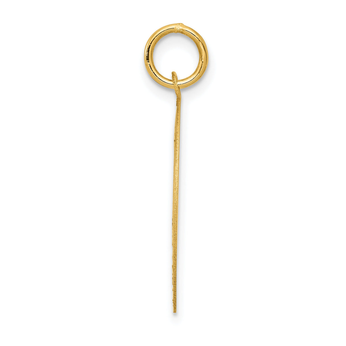14k Pug Disc Charm-XAC874