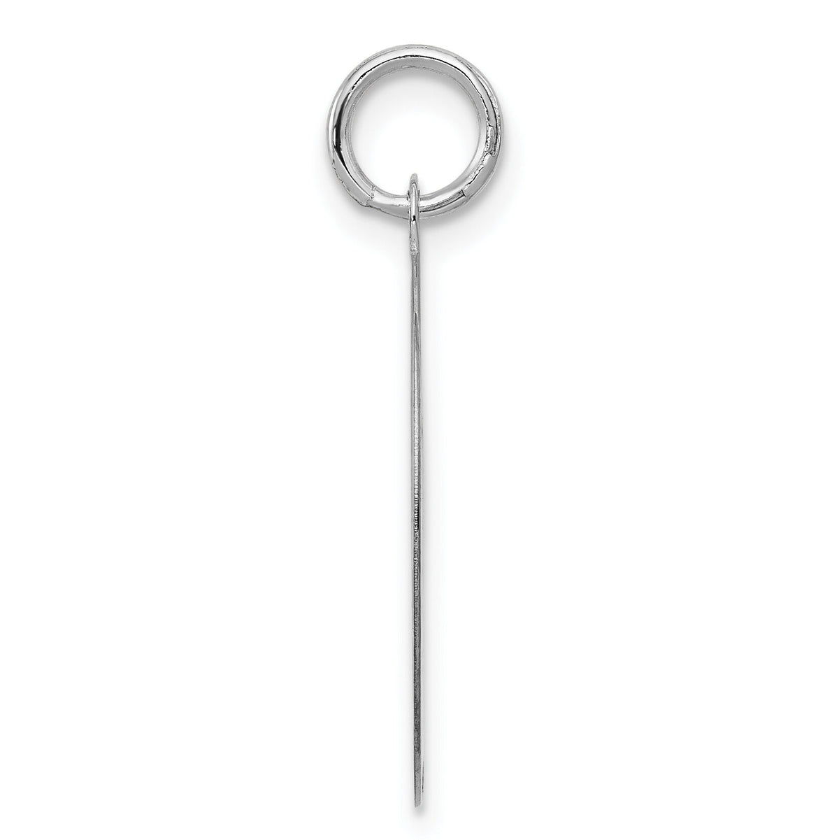 14k White Gold Polished Engravable Golden Retriever Disc Charm-XAC985