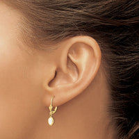 14k 6x4 Oval Bezel October/Opal Leverback Earrings-XBE106