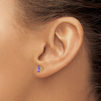 14k 6x4 Oval February/Amethyst Post Earrings-XBE14