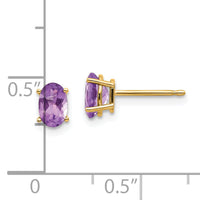 14k 6x4 Oval February/Amethyst Post Earrings-XBE14
