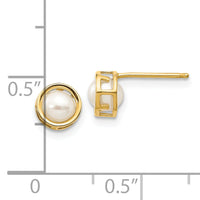 14k 4.5mm Bezel FW Cultured Pearl Stud Earrings-XBE149