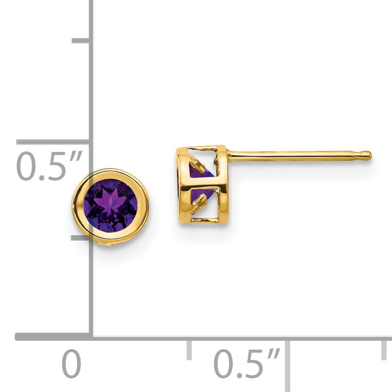14k 4mm Bezel February/Amethyst Post Earrings-XBE2