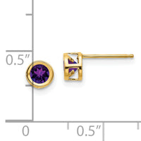 14k 4mm Bezel February/Amethyst Post Earrings-XBE2