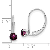 14k WG 4mm Round June/Rhodolite Leverback Earrings-XBE270