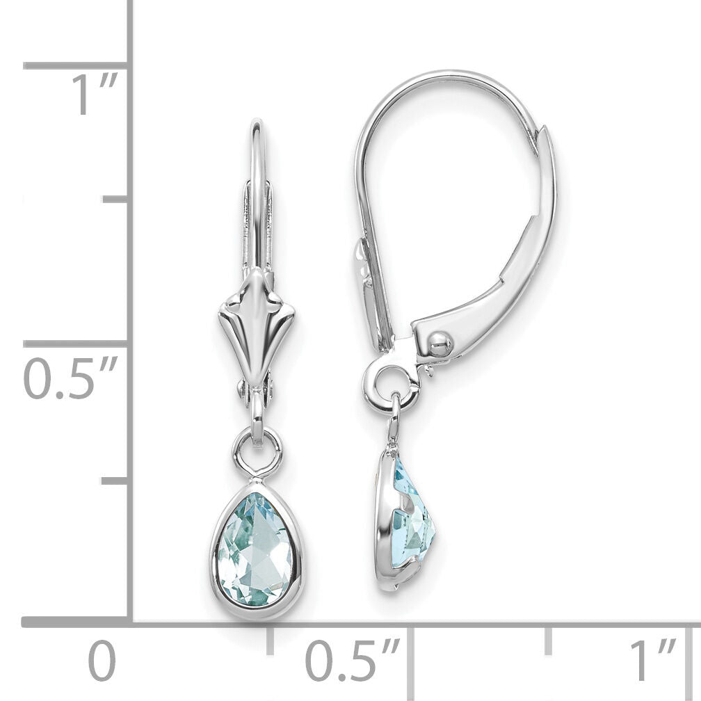 14k White Gold 6x4mm Aquamarine/March Earrings-XBE279