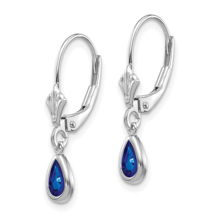14k White Gold 6x4mm Sapphir/September Earrings-XBE285