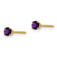 14k 3mm February/Amethyst Post Earrings-XBE38