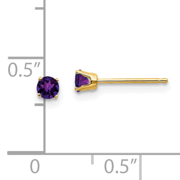 14k 3mm February/Amethyst Post Earrings-XBE38