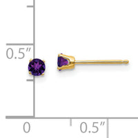 14k 3mm February/Amethyst Post Earrings-XBE38