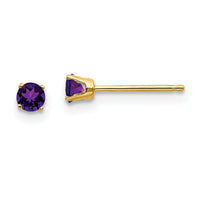 14k 3mm February/Amethyst Post Earrings-XBE38