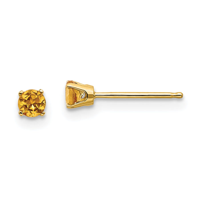 14k 3mm November/Citrine Post Earrings-XBE47