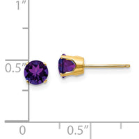 14k 5mm Amethyst Earrings - February-XBE62