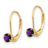 14k Amethyst Earrings - February-XBE74