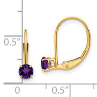 14k Amethyst Earrings - February-XBE74