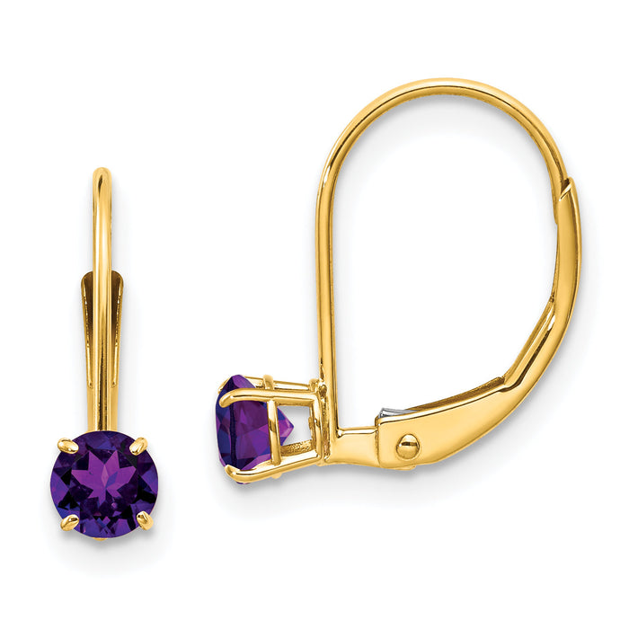14k Amethyst Earrings - February-XBE74