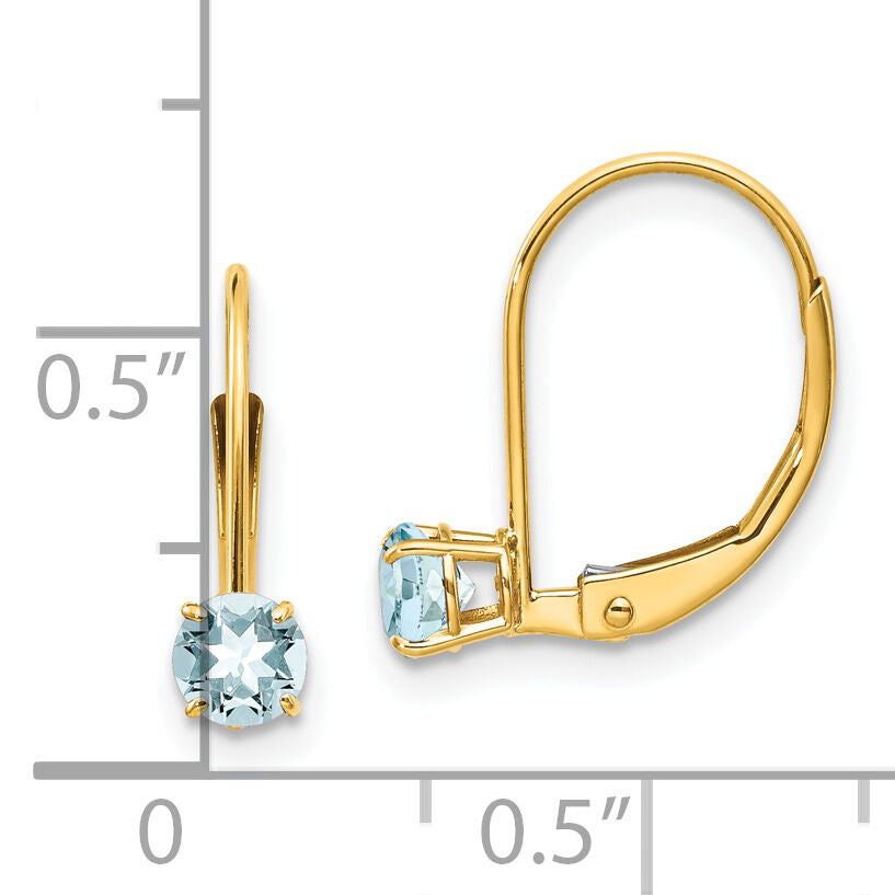14k Aquamarine Earrings - March-XBE75