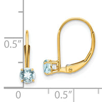 14k Aquamarine Earrings - March-XBE75