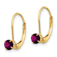 14k 4mm Round June/Rhodolite Leverback Earrings-XBE78