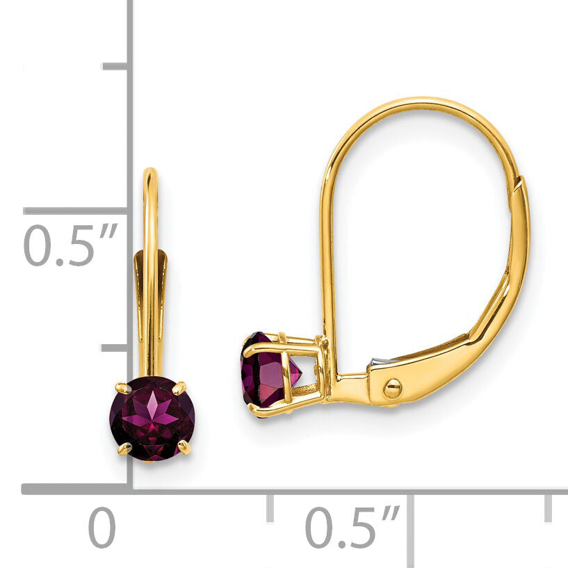 14k 4mm Round June/Rhodolite Leverback Earrings-XBE78