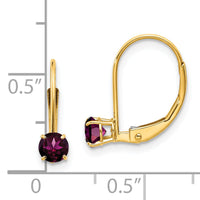 14k 4mm Round June/Rhodolite Leverback Earrings-XBE78